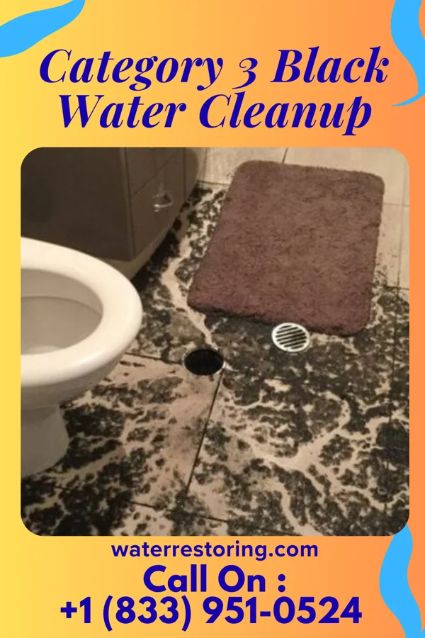 Category 3 Black Water Cleanup in Shawnee, OH