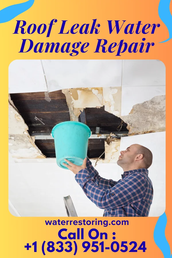 Roof Leak Water Damage Repair in Shawnee, OH