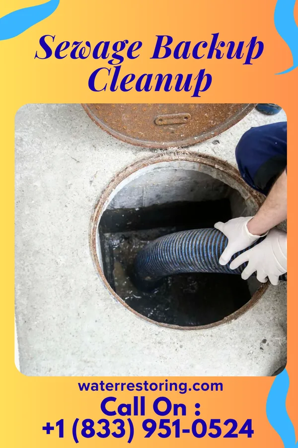 Sewage Backup Cleanup in Shawnee, OH