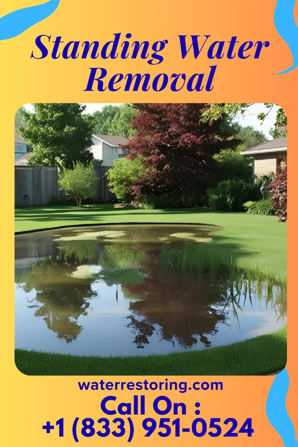 Standing Water Removal in Shawnee, OH